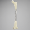 Femur with 9 mm Canal, Transparent, Left, Small