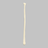 Fibula, Solid Foam, Left, Medium
