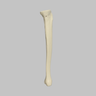 Tibia Proximal Resection, Foam Cortical, Left, Medium