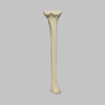 Tibia Proximal Resection, Foam Cortical, Left, Medium