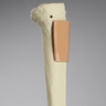 Tibia with Skin Patch, Pediatric