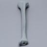Tibia with Radiopaque Properties, Left, Medium
