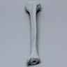Tibia with Radiopaque Properties, Left, Medium