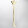 Tibia with Condylar Fracture and Fragment, Right, Medium