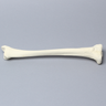 Tibia with 8 mm Canal, Solid Foam, Left, Small
