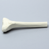 Tibia with 12 mm Canal, Solid Foam, Proximal, Right