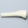 Tibia with 12 mm Canal, Solid Foam, Proximal, Right