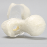 Femur, Transparent with 14 mm Canal, Left