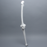 Full Length Knee with Patella and Three Stretch Cord Ligaments