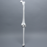 Full Length Knee with Three Stretch Cord Ligaments, Right, Medium