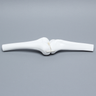 Knee Joint with Four Stretch Cord Ligaments