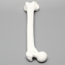 Femur, Solid White Plastic, Large