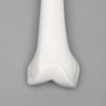 Femur with 12.5 mm Canal, Plastic Cortical Shell, Left