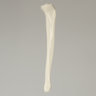 Tibia, Plastic Cortical Shell with 11mm Canal, Left