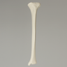 Tibia, Plastic Cortical Shell with 11mm Canal, Left