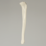 Tibia, Plastic Cortical Shell with 11mm Canal, Left