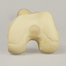 Femur with Narrow Intercondylar Notch, Foam Cortical Shell, Left