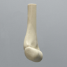 Distal Pediatric Elbow for Wire Navigation Trainer