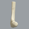 Distal Pediatric Elbow for Wire Navigation Trainer