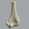 Distal Pediatric Elbow for Wire Navigation Trainer