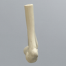 Distal Pediatric Elbow for Wire Navigation Trainer
