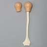 Humerus with Skin Patch, Pediatric