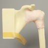 Shoulder Insert for SCR Arthroscopy Shoulder Simulator #1509-37-3, Solid Foam
