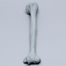 Humerus with Radiopaque Properties