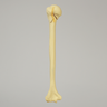 Humerus with Three-Part Head Fracture, Foam Cortical