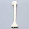 Humerus for IM Nail with 11 mm Entry Site, Foam Cortical