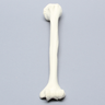 Humerus for IM Nail with 11 mm Entry Site, Foam Cortical