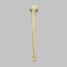 Humerus with Four-Part Bicipital Groove Fracture, Foam Cortical, Left