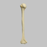 Humerus with Four-Part Bicipital Groove Fracture, Foam Cortical, Left