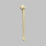 Humerus with Open Proximal Canal, Foam Cortical
