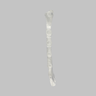 Sternum, Solid Clear Plastic