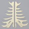 Sternum, Split Set, Solid Foam
