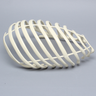 Partial Rib Cage, Solid Foam, Left
