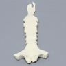 Sternum with Xiphoid Process, Solid Foam