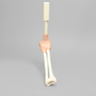 Arthroscopy Elbow Insert with Capsule and Cartilage