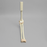 Arthroscopy Elbow Insert with Capsule and Cartilage