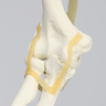 Arm, Solid Foam, Right