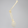 Arm, Solid Foam, Right