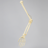 Arm, Solid Foam, Right