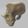 Full Male Pelvis, absolute™ 4th Gen., 17 PCF Solid Foam Core, Large