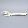 Hand and Wrist, Articulated, Solid Foam, Right