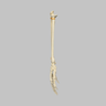 Hand and Wrist, Articulated, Solid Foam, Right