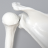 Intraosseous Access Shoulder Demonstrator
