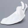 Scapula, Solid White Plastic, Right