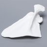 Scapula, Solid White Plastic, Left
