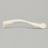 Clavicle, Solid White Plastic, Right